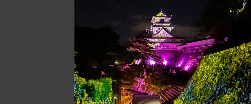 Art＋ ＋高知城 ひかりの花図鑑,-牧野富太郎と植物を愛した画家たち-画像