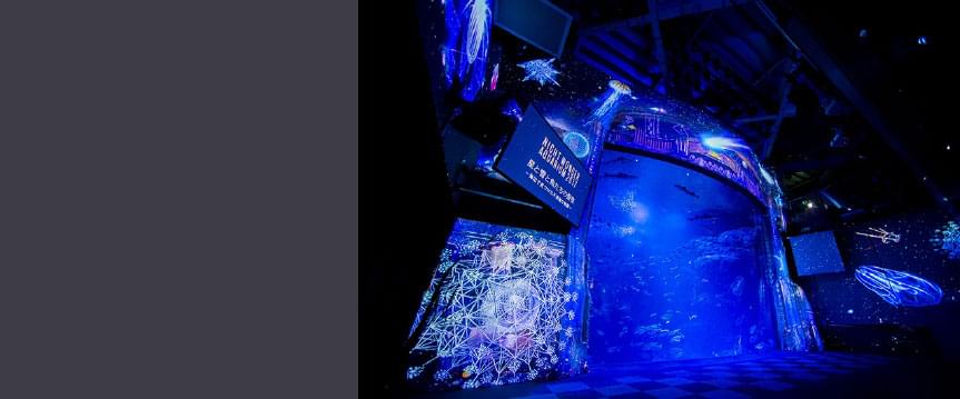 NIGHT WONDER AQUARIUM 2017,～満天の星降る水族館～画像