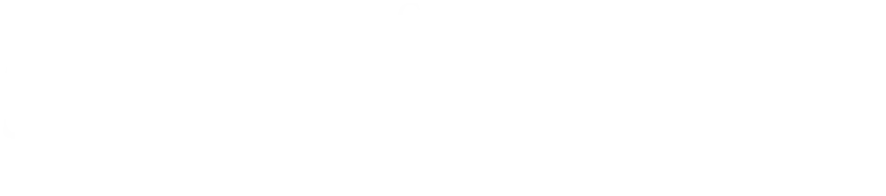 Nijo-jo Castle 2026 SAKURA NIGHTS