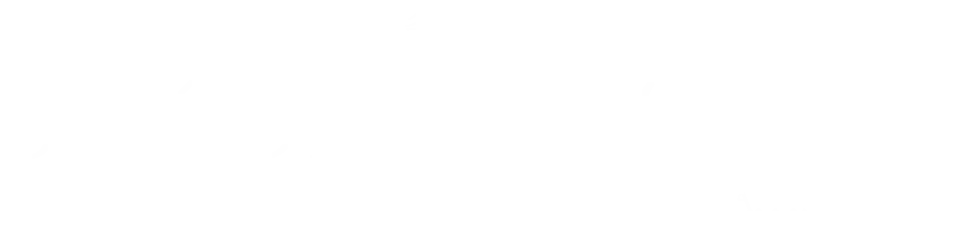 二条城2026 SAKURA NIGHTS